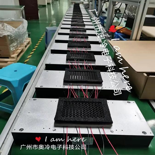 半導(dao)體(ti)加(jia)熱/製(zhi)冷模塊 分(fēn)子(zi)診斷(duan) PCR、IVD、POCD係(xi)列 半導(dao)體(ti)加(jia)熱/製(zhi)冷模塊 分(fēn)子(zi)診斷(duan) PCR、IVD、POCD係(xi)列